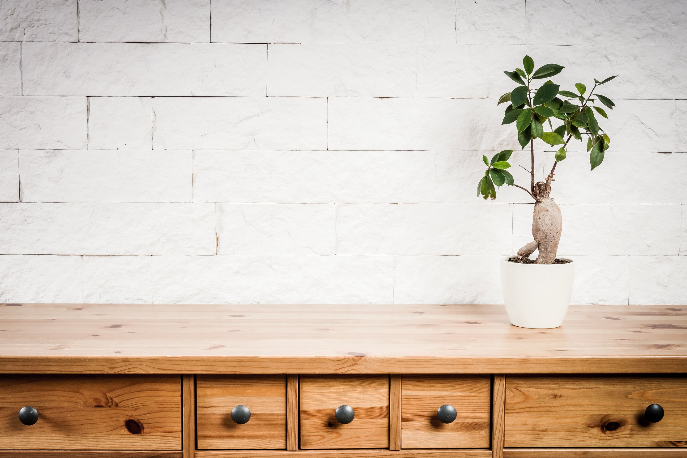 Wooden Shelf, Flower and Wall