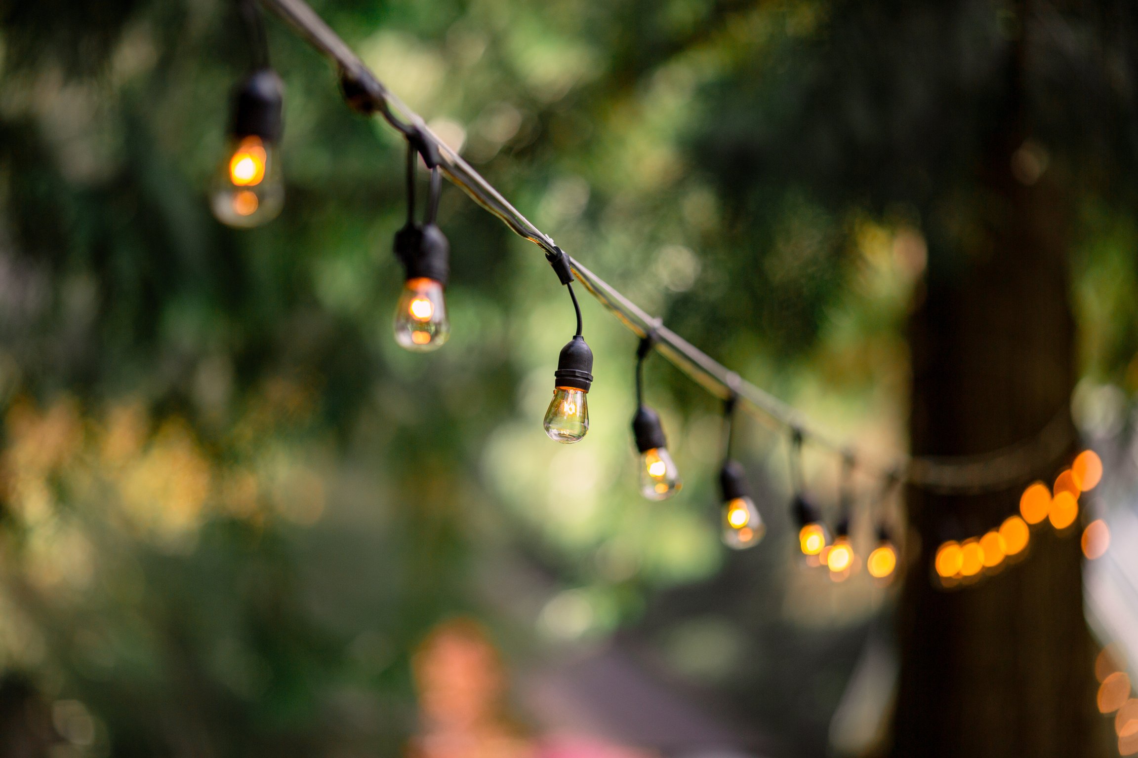 Decorative Outdoor Party Lights in Garden